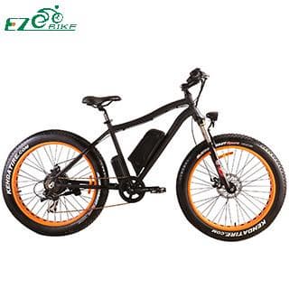 Electric Bike TDE07